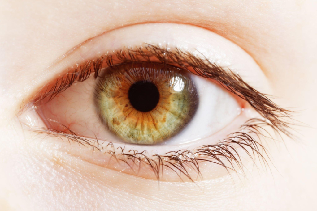 Celebrities With Hazel Eyes